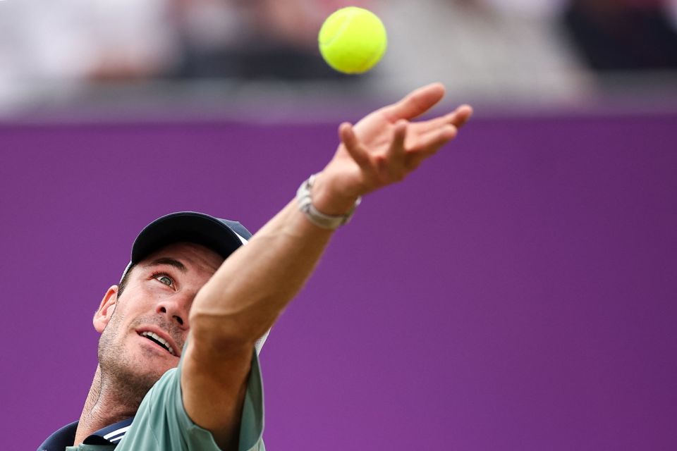 职业生涯的 职业生涯的